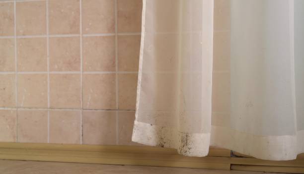 Best Commercial Mold Inspection  in Hoover, AL