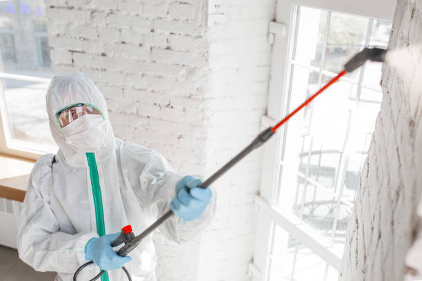 Best Commercial Mold Inspection  in Hoover, AL