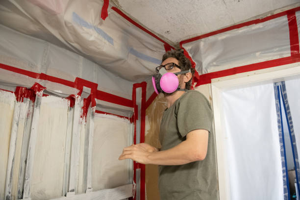 Best Asbestos and Lead Testing During Mold Inspection  in Hoover, AL