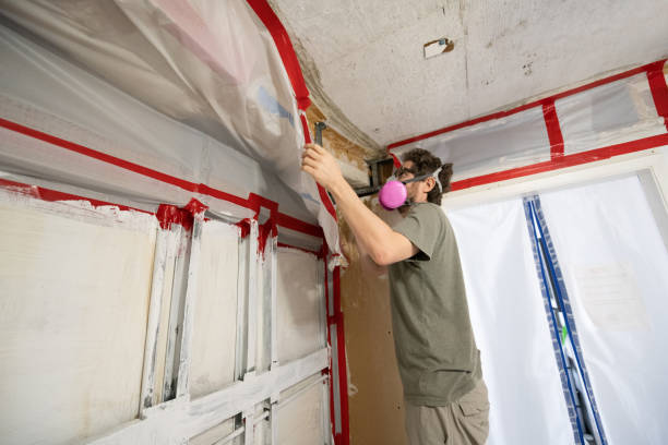 Best Water Damage & Mold Remediation  in Hoover, AL