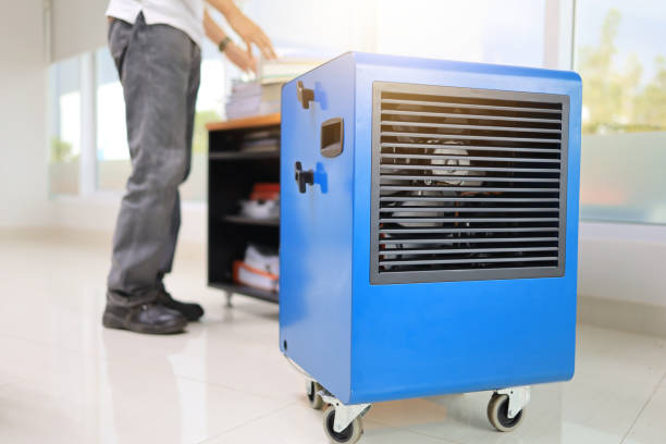 Best Mold Remediation for Vacation Homes  in Hoover, AL