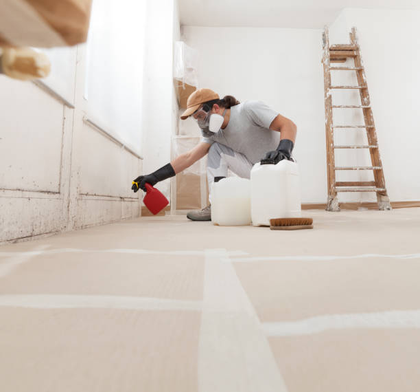 Best Environmental Consulting for Mold Prevention  in Hoover, AL