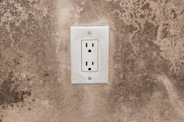 Best Mold Documentation for Insurance Claims  in Hoover, AL