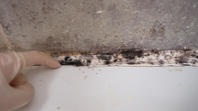 Best Indoor Air Quality Assessment  in Hoover, AL